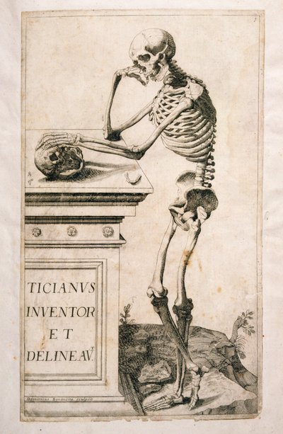 Anatomical Study, by Domenico Maria Bonavera by Tiziano Vecelli